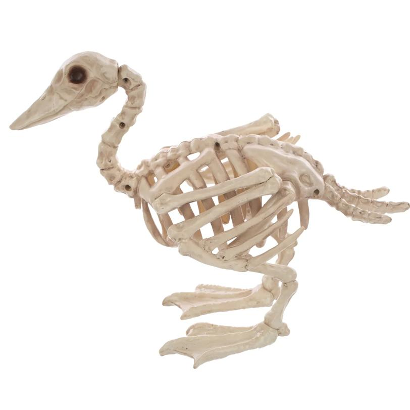 Skeleton Baby Duck Prop