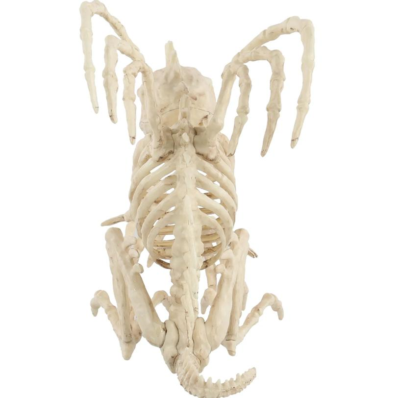 Skeleton Gargoyle Prop 10"