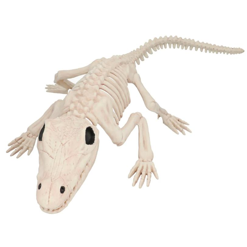 13 1/2" Crocodile Skeleton Halloween Decoration