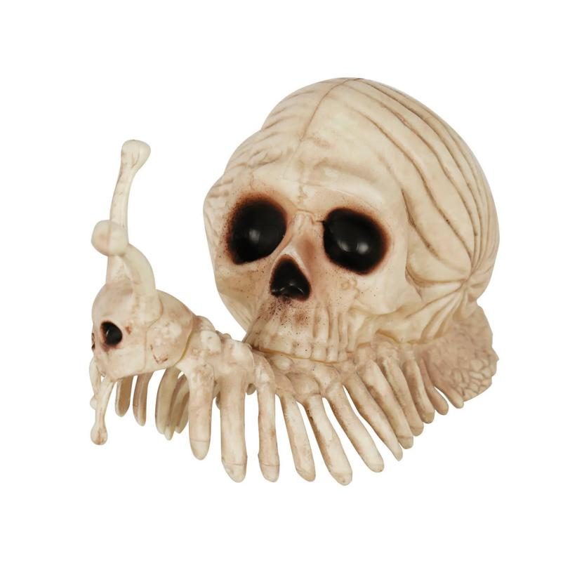 SNAIL SKELETON