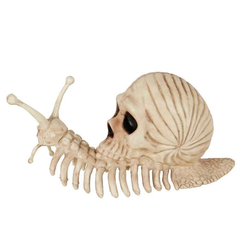 SNAIL SKELETON