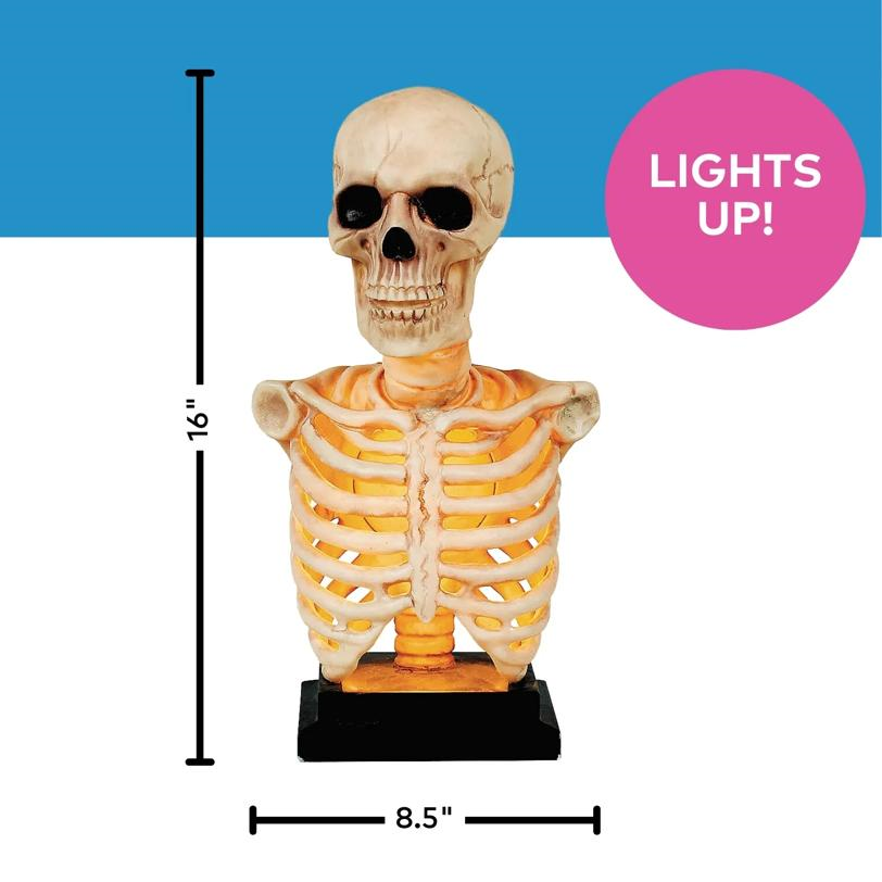 Skeleton Bust on Stand Halloween Tabletop Decoration, 16"