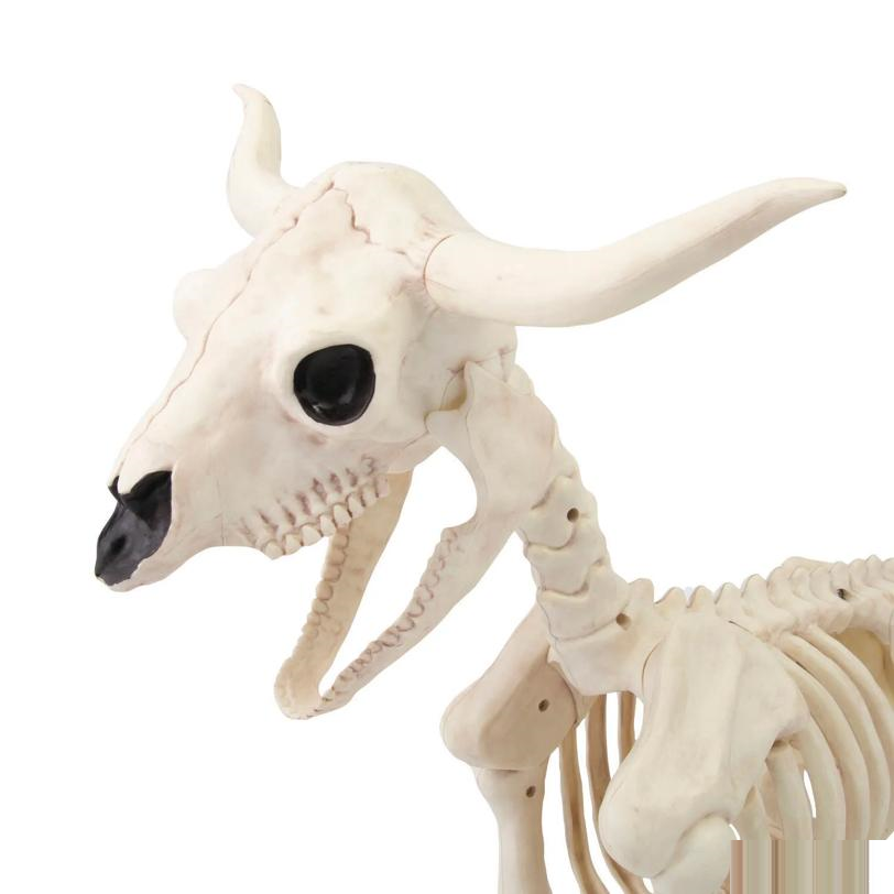 21 1/4" Standing Steer Skeleton Halloween Decoration