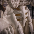 18 1/2" Sitting Elephant Skeleton Halloween Decoration