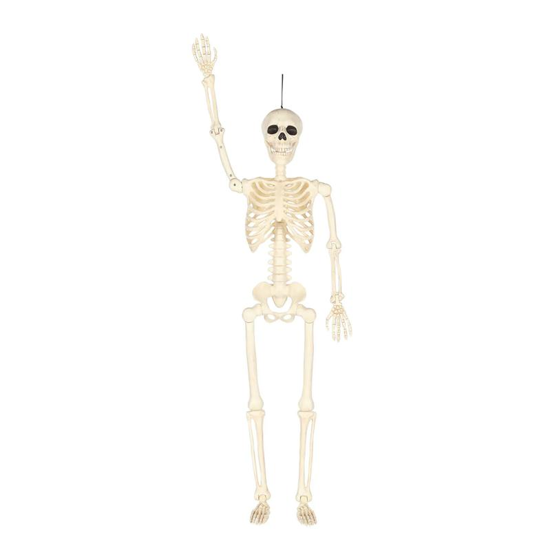 5 Ft. Hanging Multi Pose-N-Stay Life-Size Skeleton Halloween Decoration
