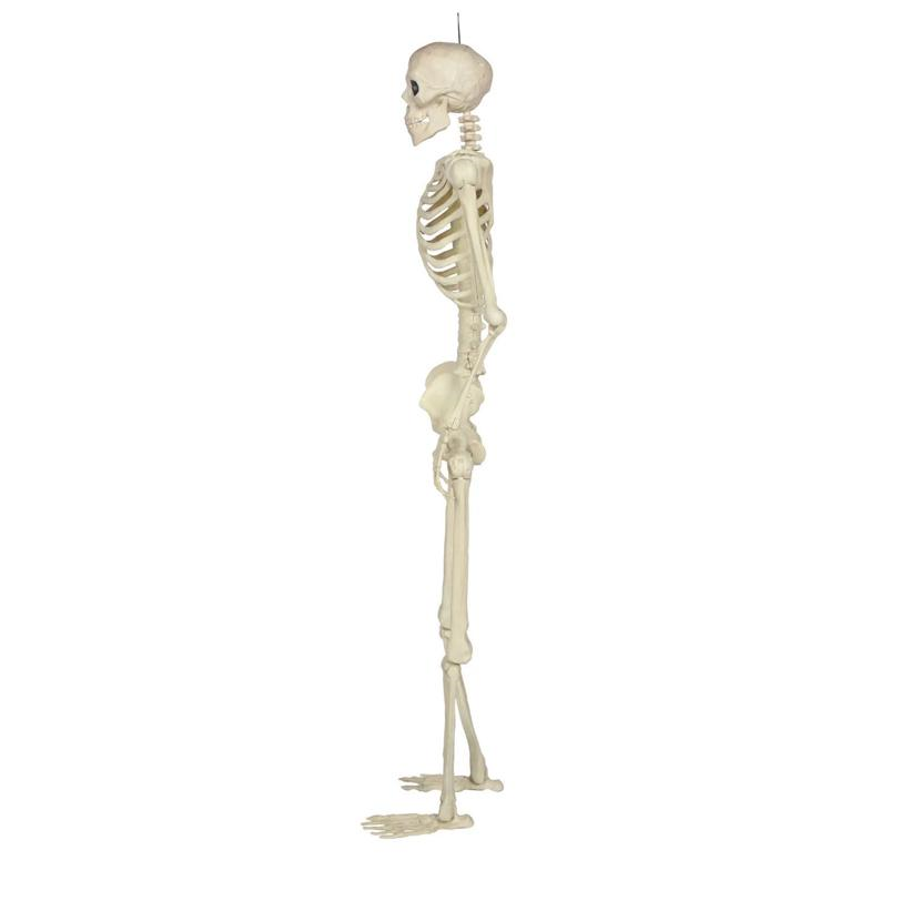 5 Ft. Hanging Multi Pose-N-Stay Life-Size Skeleton Halloween Decoration