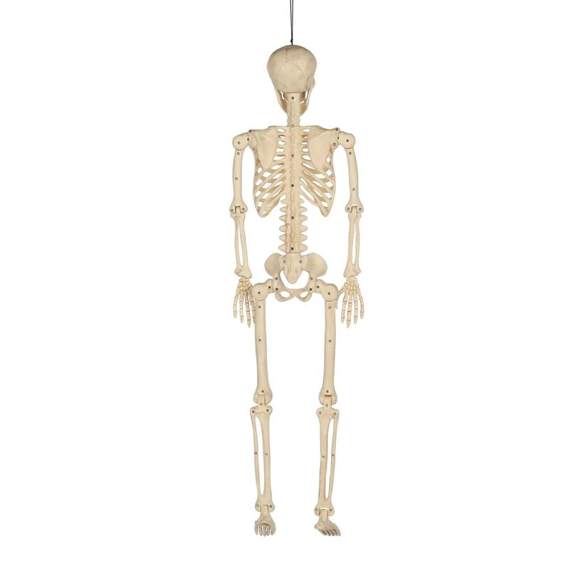 36" Hanging Multi Pose-N-Stay Skeleton Halloween Decoration