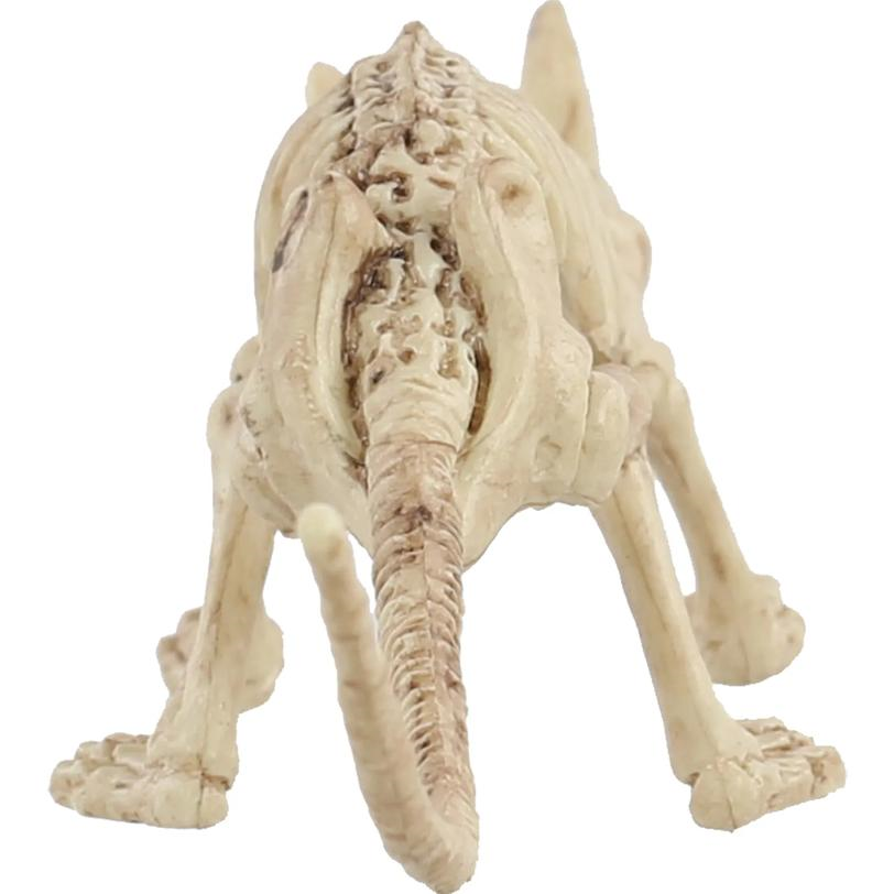 Mini Skeleton Rat