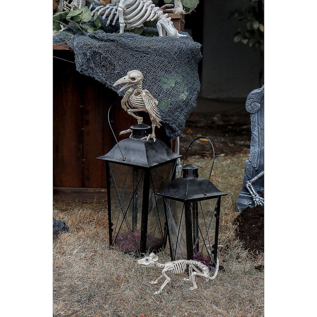 Mini Skeleton Rat