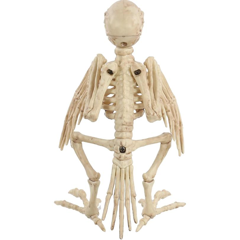 Skeleton Parrot Prop