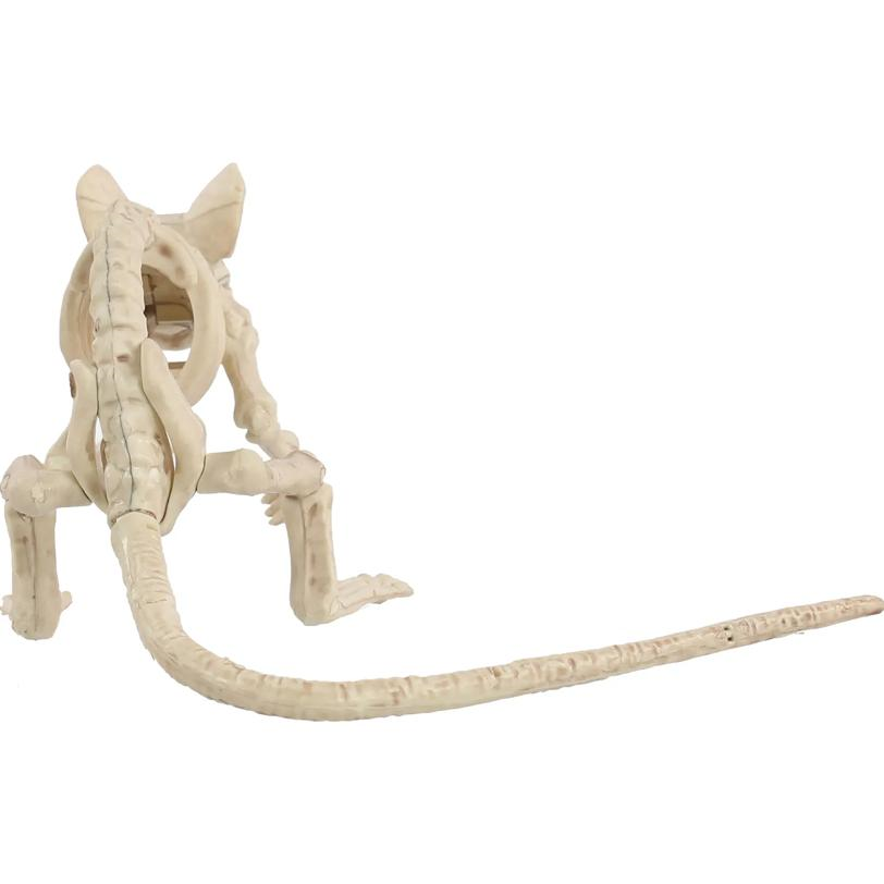 Skeleton Creepy Crouching Mouse Prop
