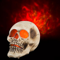 Blazing Scenes Natural Brushed Skull Fire & Ice 10"