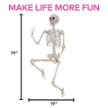 SKELETON TITAN