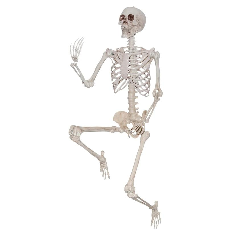 SKELETON TITAN