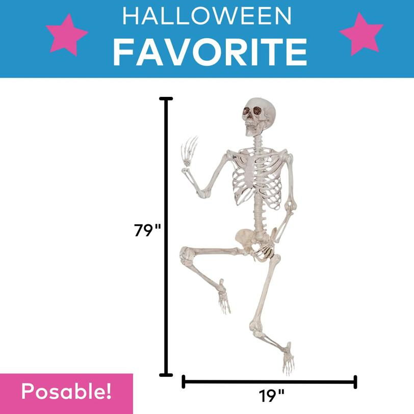 SKELETON TITAN