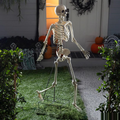 5 Ft. Skeleton Stand Halloween Decoration Display