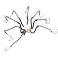 Large Skull Spider 47in