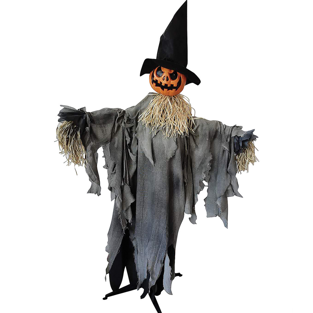 Pumpkin Animated With Hat