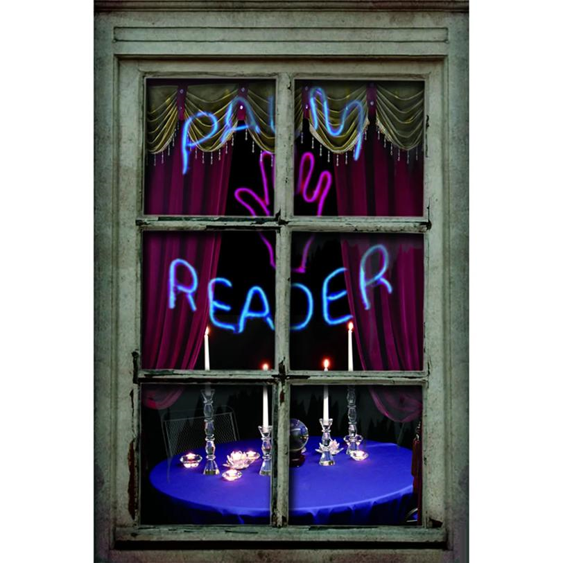 Palm Reader