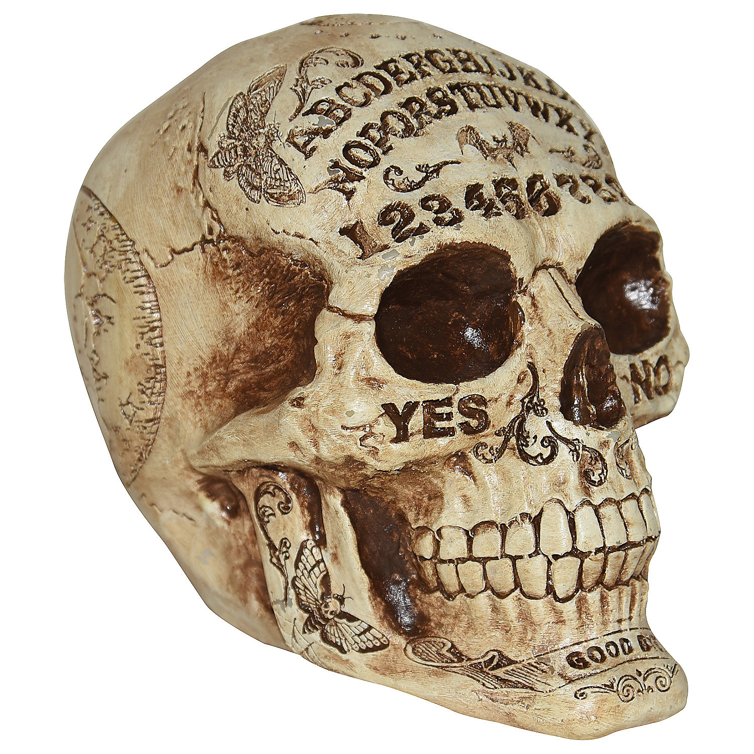 Fortune Teling Skull Halloween Decoration 7"