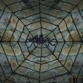 Giant Spider Web With Spider