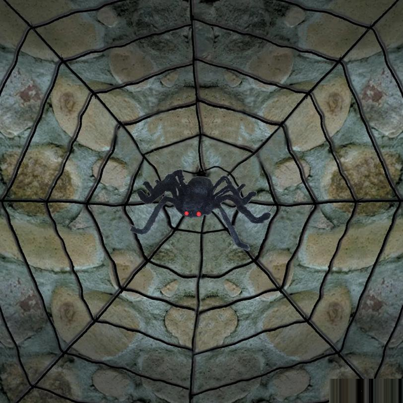Giant Spider Web With Spider