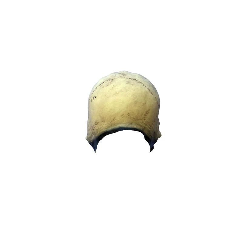 Adults Ghoulish Productions Junior Skull Overhead Latex Mask