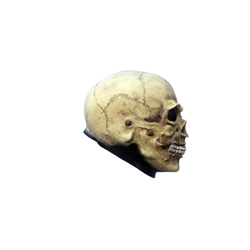 Adults Ghoulish Productions Junior Skull Overhead Latex Mask
