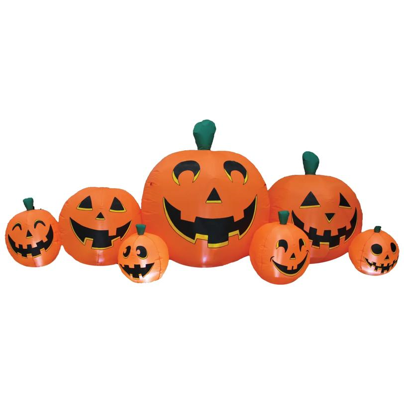 PUMPKIN PATCH 8.5 FT LONG