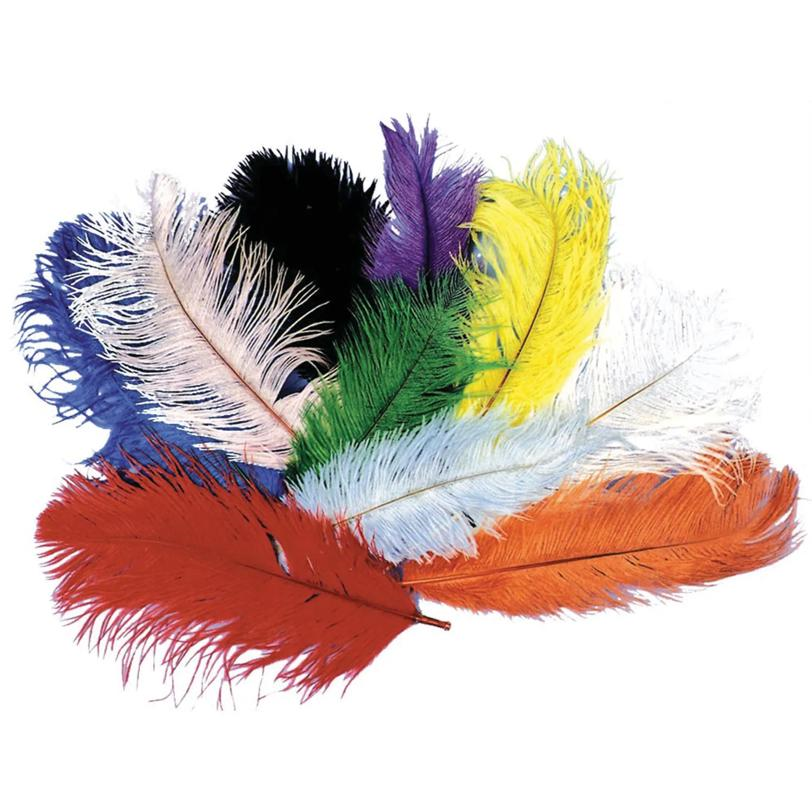 Ostrich Plumes