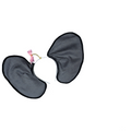 Elephant Ears