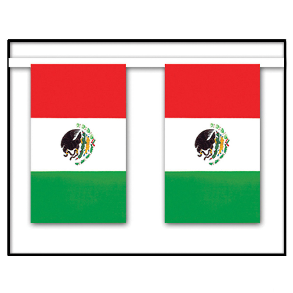 Mexican Flag Banner