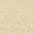 BEACH BACKDROP