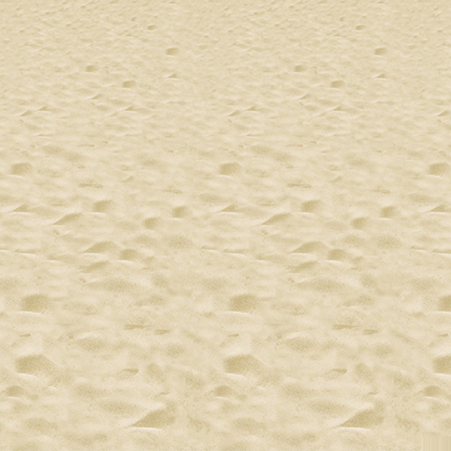 BEACH BACKDROP