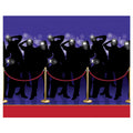 PAPARAZZI BACKDROP 4ft X 30ft