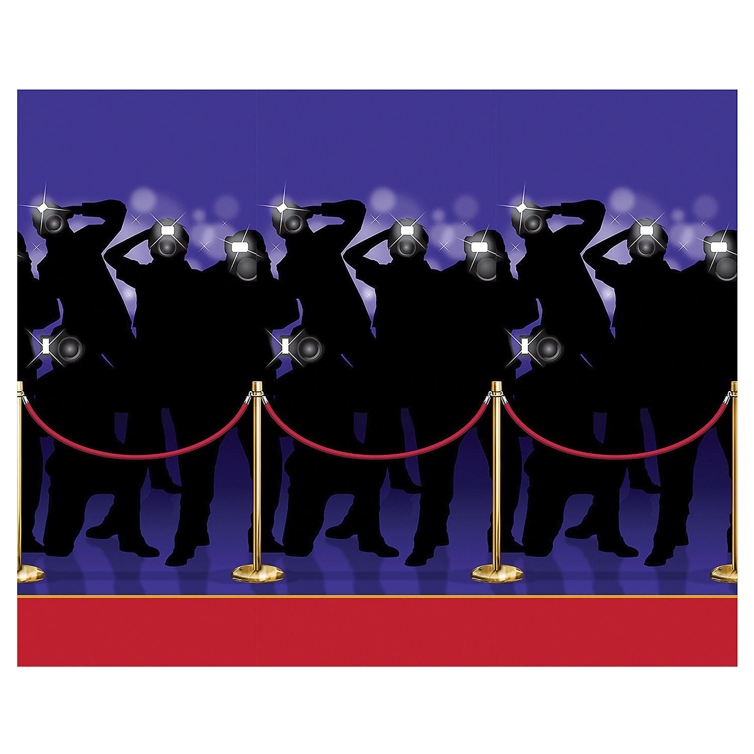 PAPARAZZI BACKDROP 4ft X 30ft