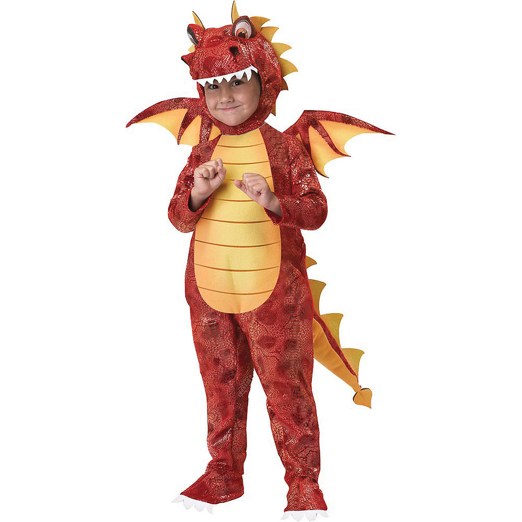 Boy's Dragon Fire Costume