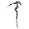Skeleton Scythe