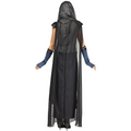 Lady Lionheart Adult Costume