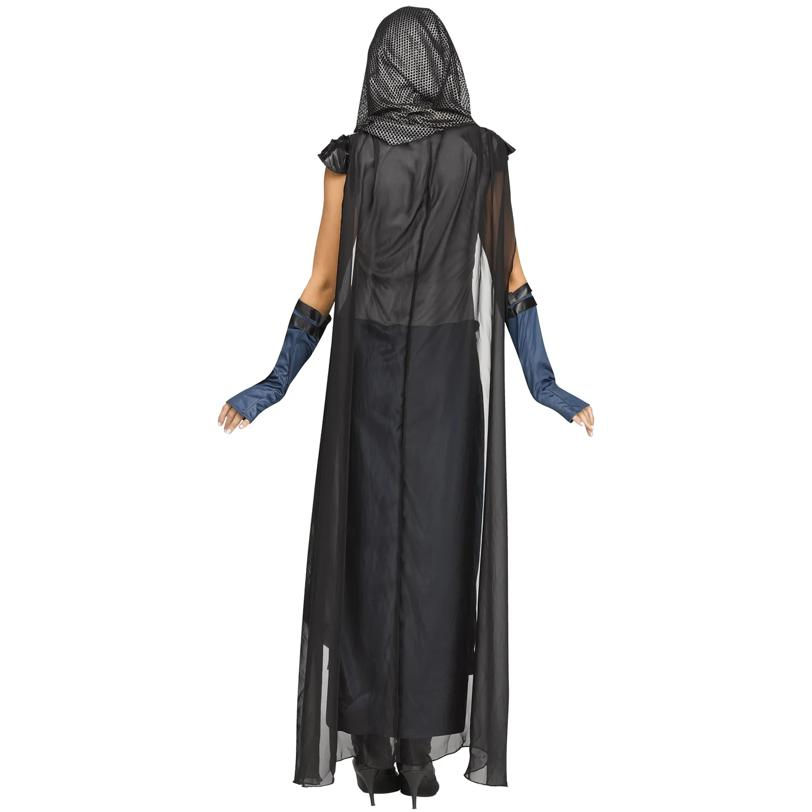 Lady Lionheart Adult Costume