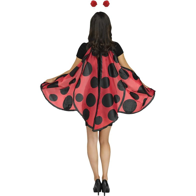 Lady Bug Wings & Headband Set