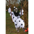 SKELETON CLOWN ON SWING