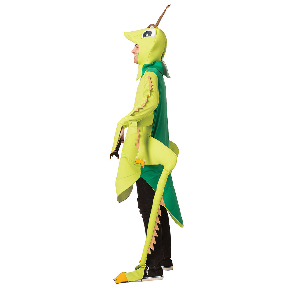 Grasshopper Adult Costume