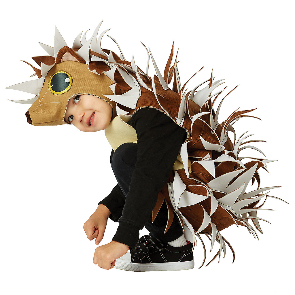 Hedgehog Costume