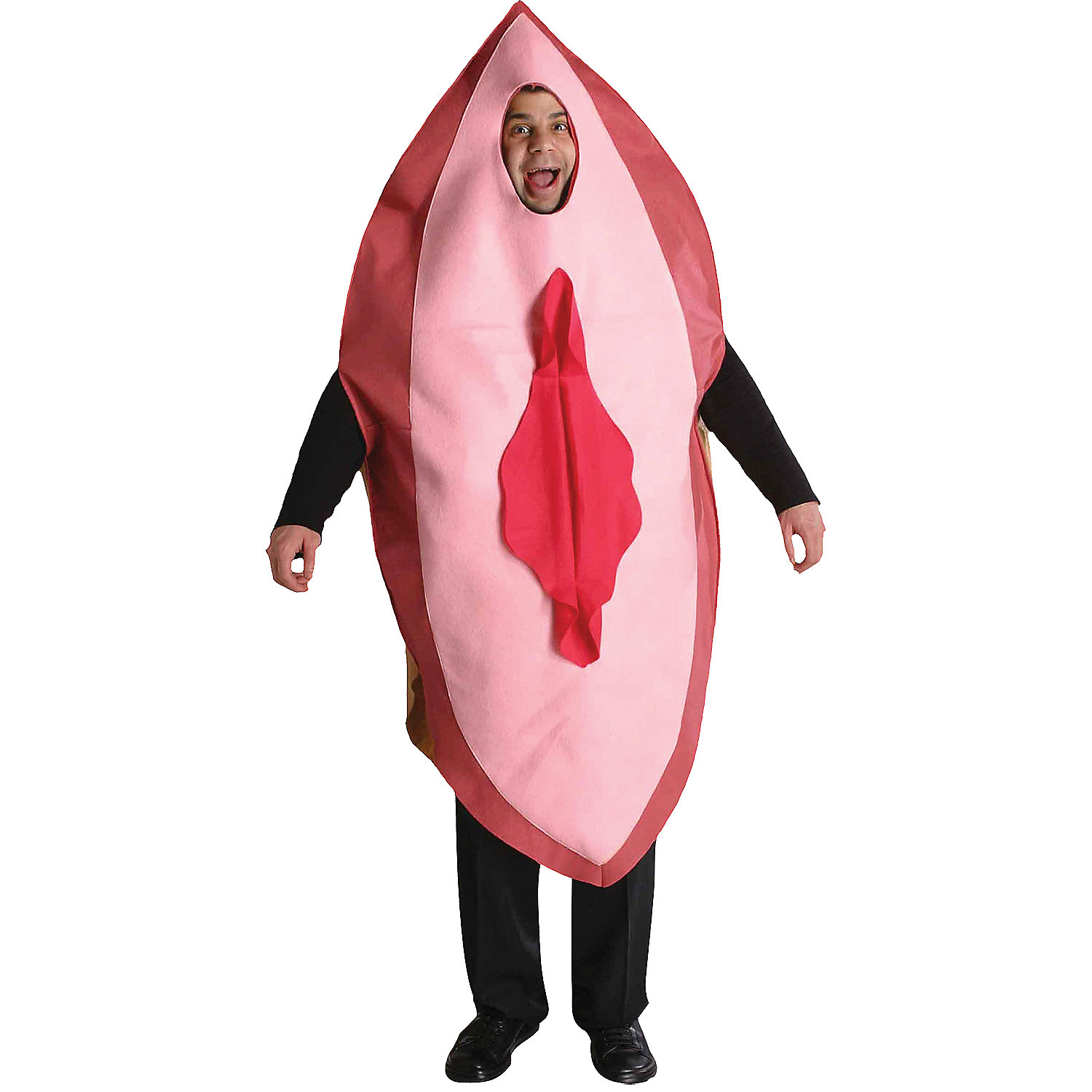 Big Pink Costume