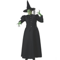 Witch Costume