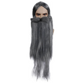 WIZARD WIG BEARD SET GY