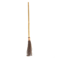Witch Broom