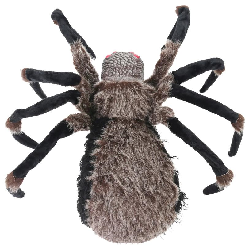 Spider Deluxe Light-Up 36 In