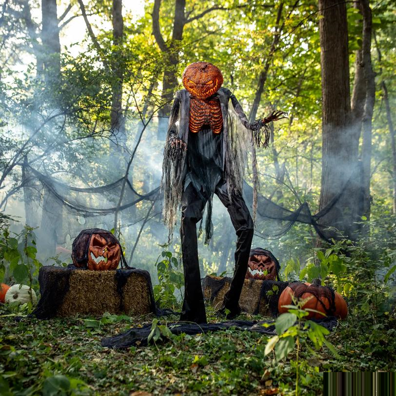 Scorched ScarecroWith With Fog